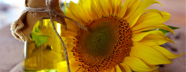 Sunflower-Oil