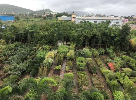 Views of the growing area at Om Farms & Nursery, Vadgaon